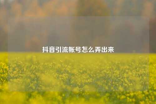抖音引流帐号怎么弄出来