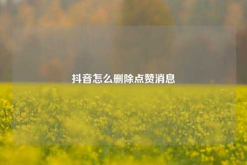抖音怎么删除点赞消息
