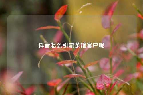 抖音怎么引流茶馆客户呢