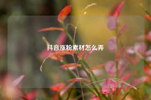 抖音涨粉素材怎么弄
