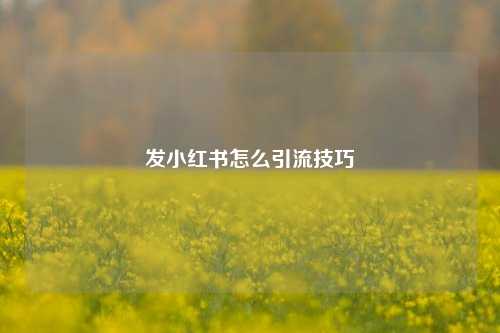 发小红书怎么引流技巧