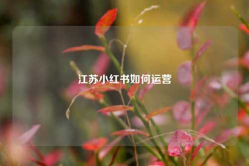 江苏小红书如何运营