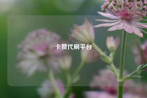 卡赞代刷平台