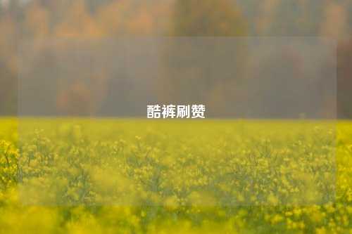 酷裤刷赞