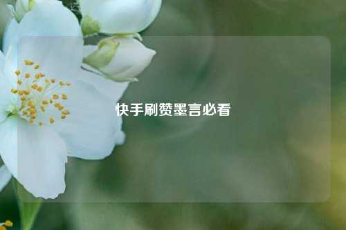 快手刷赞墨言必看
