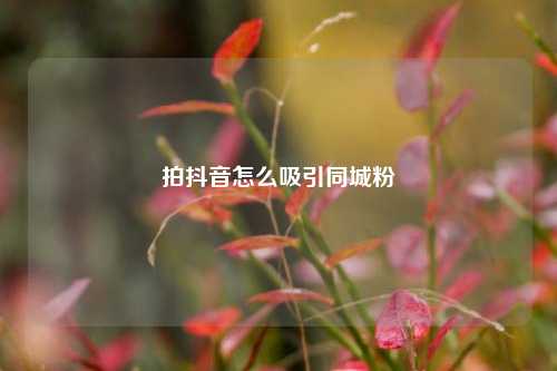 拍抖音怎么吸引同城粉