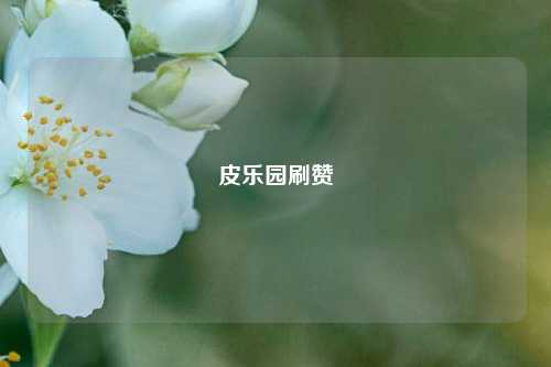 皮乐园刷赞