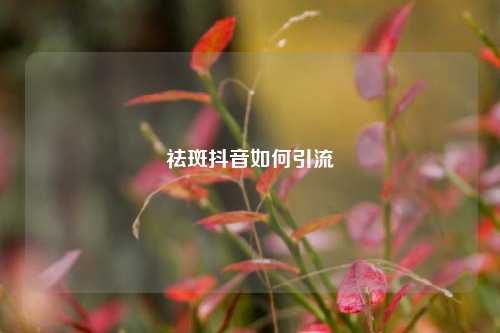 祛斑抖音如何引流