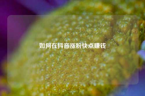 如何在抖音涨粉快点赚钱