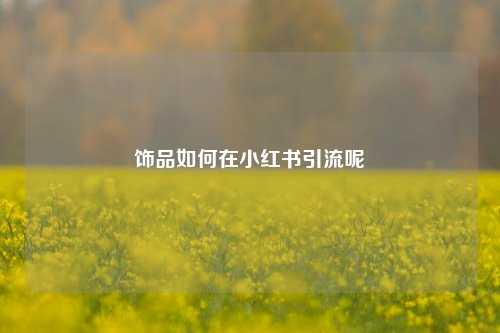饰品如何在小红书引流呢