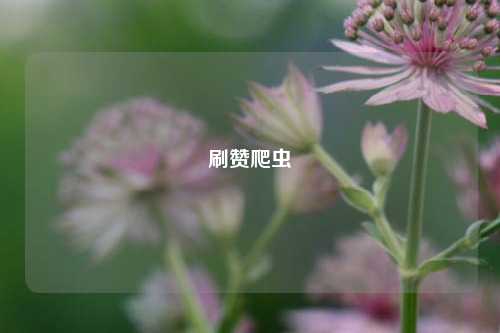 刷赞爬虫