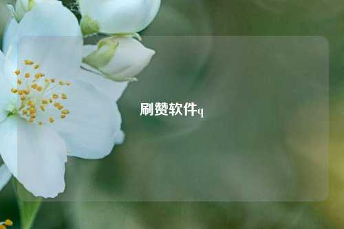 刷赞软件q
