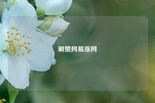 刷赞网易涨网