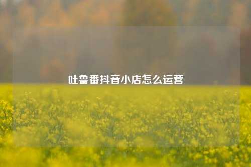 吐鲁番抖音小店怎么运营