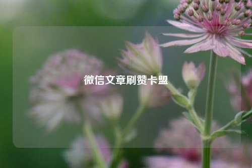 微信文章刷赞卡盟