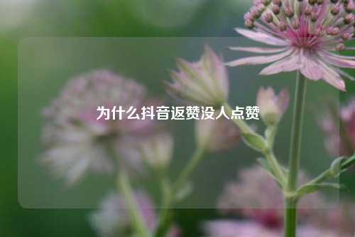 为什么抖音返赞没人点赞